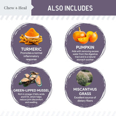Chew + Heal Labs turmeric salmon jerky display highlights flavorful natural snack for aging dogs.