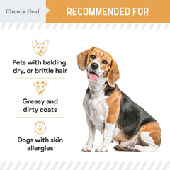 Chew + Heal omega-3 dog bottle emphasizing EPA and DHA for potential heart and cognitive support.