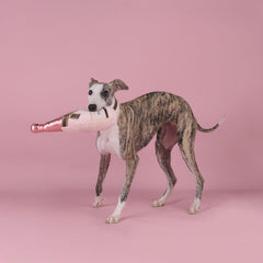 CHEWFFON tamaño perfecto para perros de todas las tallas y etapas de juego.