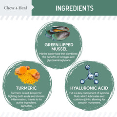 Chewheal Labs green-lipped mussels ingredient close-up for natural joint support