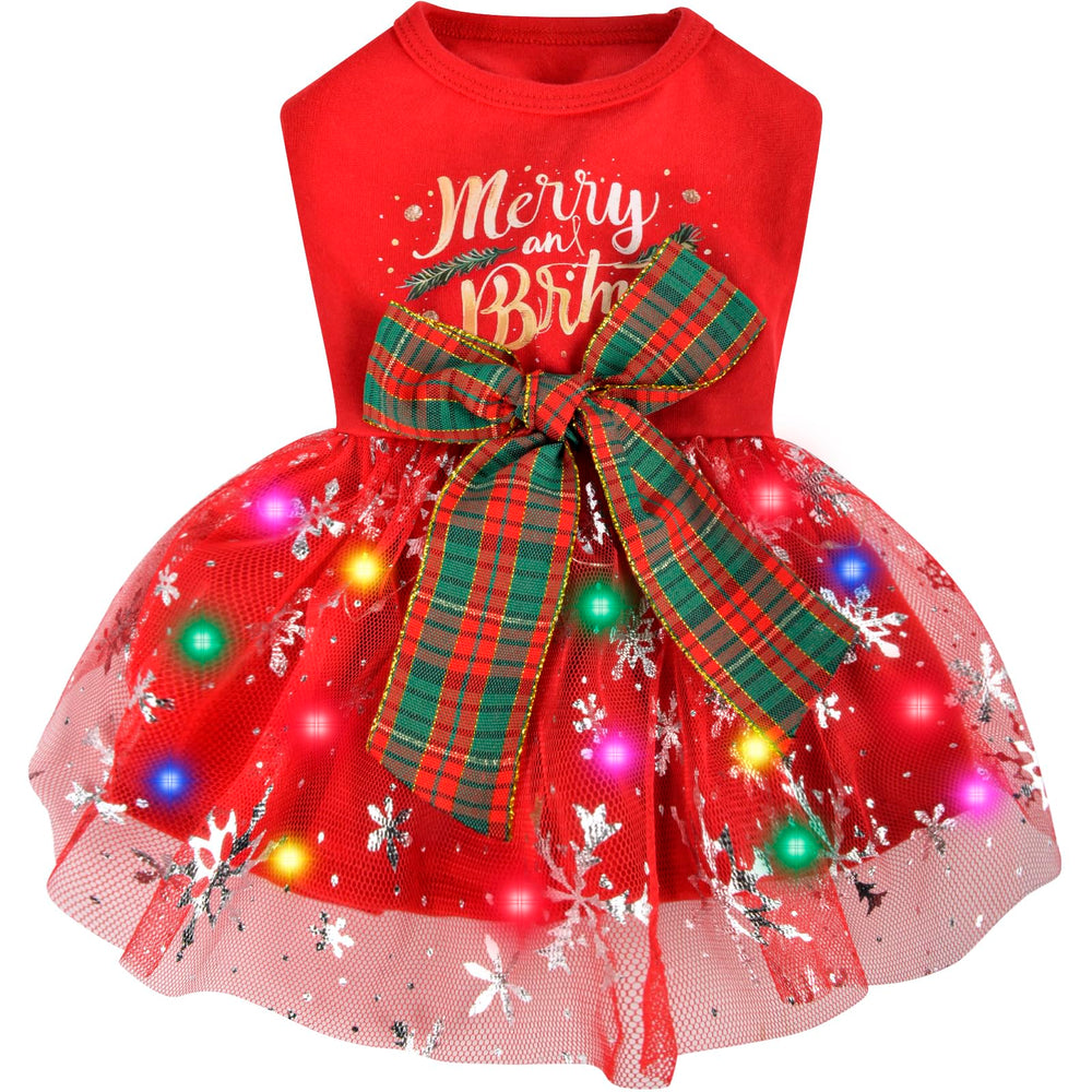 ChezAbbey dog Christmas dress with LED lights glowing for festive photos.