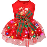 ChezAbbey dog Christmas dress with LED lights glowing for festive photos.