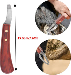 CHICIRIS stainless blade close up highlighting sharpness and durability.