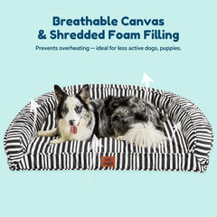 ChiXnuggle canvas cover keeps bed breathable and cool for thick-furred or active dogs.