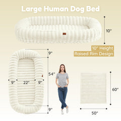 ChiXnuggle Egg Orthopedic Foam supports comfortable lounging and spine alignment.