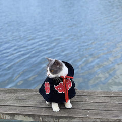 ChoChoCho Akatsuki cosplay cat cloak showing snug fit.
