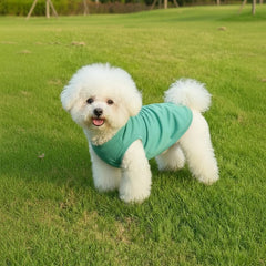 Chol&Vivi green dog shirt highlights easy-care and comfy fit.