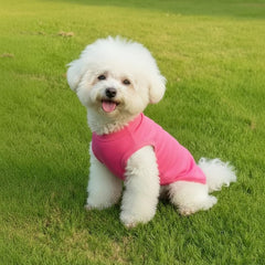 Chol&Vivi dog shirt xxxl pink back highlights secure fit during activity.