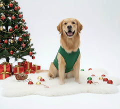 Cholvivi dog shirts two-pack green closeup emphasizes soft cotton and comfort