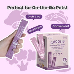 Choolip Squeeze Vita Stick frozen-treat: a refreshing lickable snack for pets