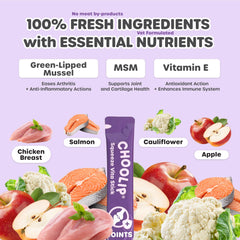 Choolip Squeeze Vita Stick two-pouches shows value pack for multi-pet households