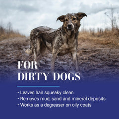 Dog side view after a wash with Clean Start reveals a shine and soft, bouncy coat