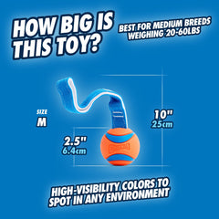 Chuckit Ultra Tug bright colors enhance visibility outdoors