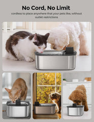 Chumajor water fountain motion-sensor detects pets for touch-free hydration.