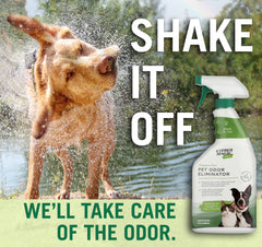 Citrus Magic Pet Odor Eliminator at litter box neutralizes urine odor quickly.