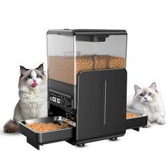 CityFlee automatic cat feeder front view for multi-cat homes