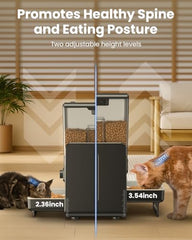 CityFlee feeder height options showing ergonomic setup