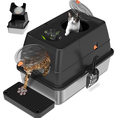 Citylife stainless steel litter box with lid, front-entry view highlighting easy access and odor control.