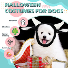 Civaner dog snood noise protection ear wrap for calmer noisy environments.