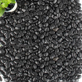 CJGQ 45lb black pebbles for plants in planters offer durable decorative coverage.