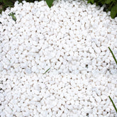CJGQ 45lb white rocks for plants highlight clean texture in pots and planters.