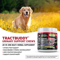 Clean Pets glucosamine-chondroitin dogs image signals joint and urinary comfort