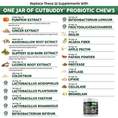 Clean Pets pumpkin-puree image emphasizes fiber-rich option aiding regularity and gut balance