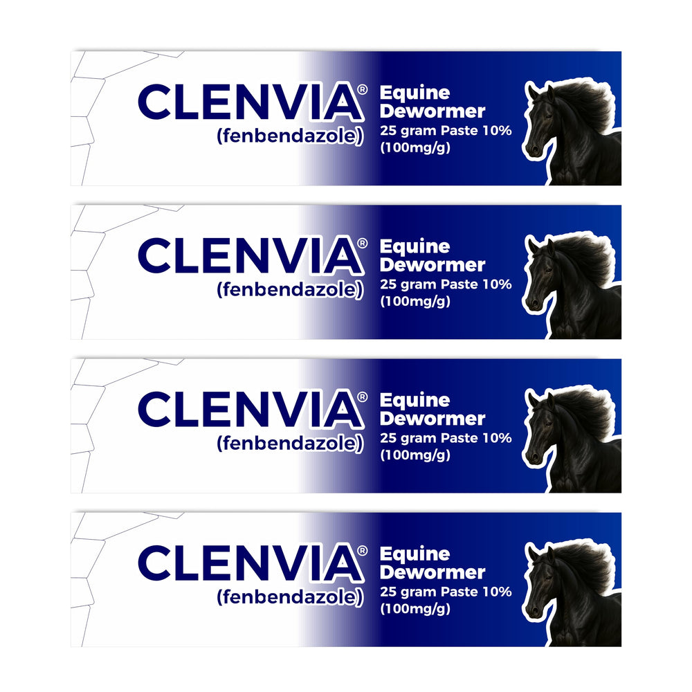 CLENVIA horse paste 10% four-pack with 25g syringes for easy dosing.