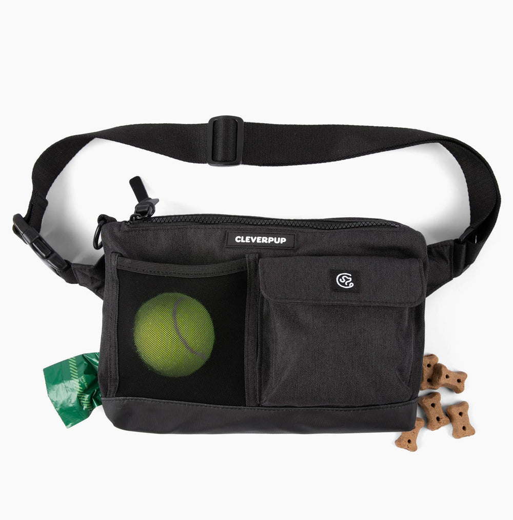 Cleverpup dog walk bag front view in graphite for hands-free, organized outings.