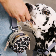 Cleverpup Snackpack metal carabiner attachment for secure carry