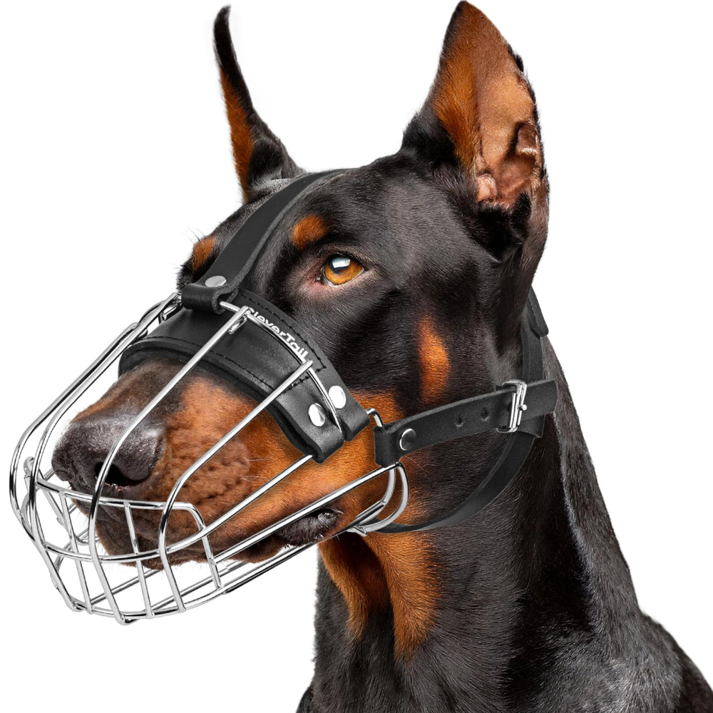 CleverTail metal doberman muzzle fit guide shows precise measurement for secure wear