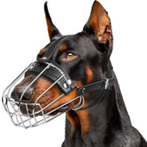 CleverTail metal doberman muzzle fit guide shows precise measurement for secure wear