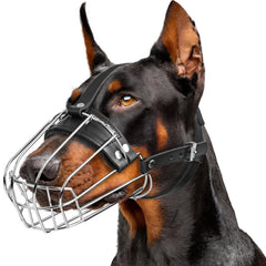 CleverTail metal doberman muzzle fit guide shows precise measurement for secure wear
