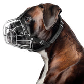 CleverTail metal muzzle boxer basket fit showing secure fit for safe handling