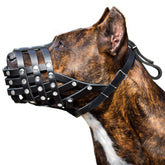 CleverTail soft leather muzzle wide shot showing secure, comfortable fit