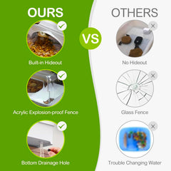Clioran-uvb-basking-platform highlights UVB-ready basking zones for healthy enrichment.