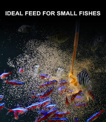 Clscea brine shrimp storage at 4-7°C preserves freshness.