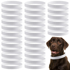 Clysee 500-count white puppy collars pack for quick pet identification in clinics.