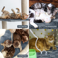 Clysee anti-slip bottom cat bed stays securely in place on floors or sofas