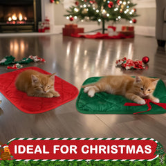 Clysee self-heating pet pad in use, warm without electricity
