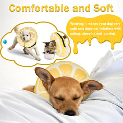 Cneo inflatable donut collar lemon xlarge pump and valve for easy setup