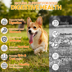 Cnido Petteri immune-support chews highlight prebiotics to help balance gut and defenses.