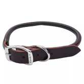 Coastal Circle T Latigo round dog collar closeup showing durable leather and rich color