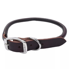 Coastal Circle T Latigo round dog collar closeup showing durable leather and rich color