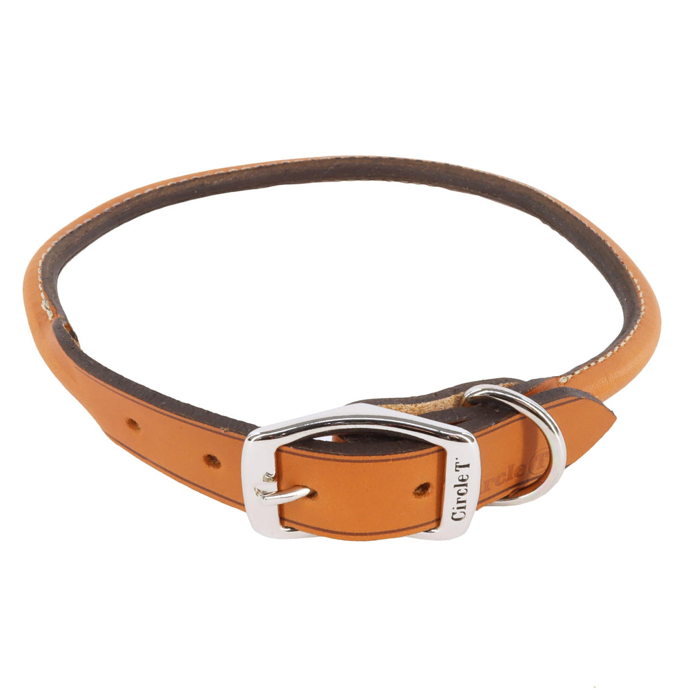 Coastal Circle T Oak Tanned Leather Round Dog Collar buckle close for secure daily wear