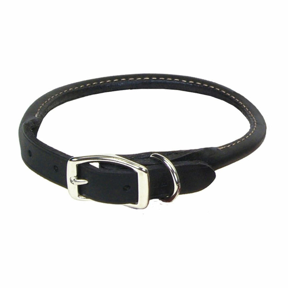 Coastal Circle T Oak Tanned Leather Round Dog Collar closeup shows rich leather texture and craftsmanship.