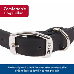 Coastal Circle T Oak Tanned Leather Round Dog Collar soft leather surface for comfortable outdoor play.