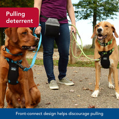 Coastal K-9 Explorer plush chest pad enhances comfort on long walks.