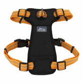 Coastal K-9 Explorer front-connect harness in desert tones for secure walks