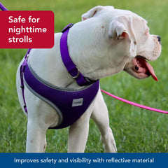 Coastal Pet Comfort Soft Wrap Harness reflective-piping image demonstrates enhanced visibility during evening walks.